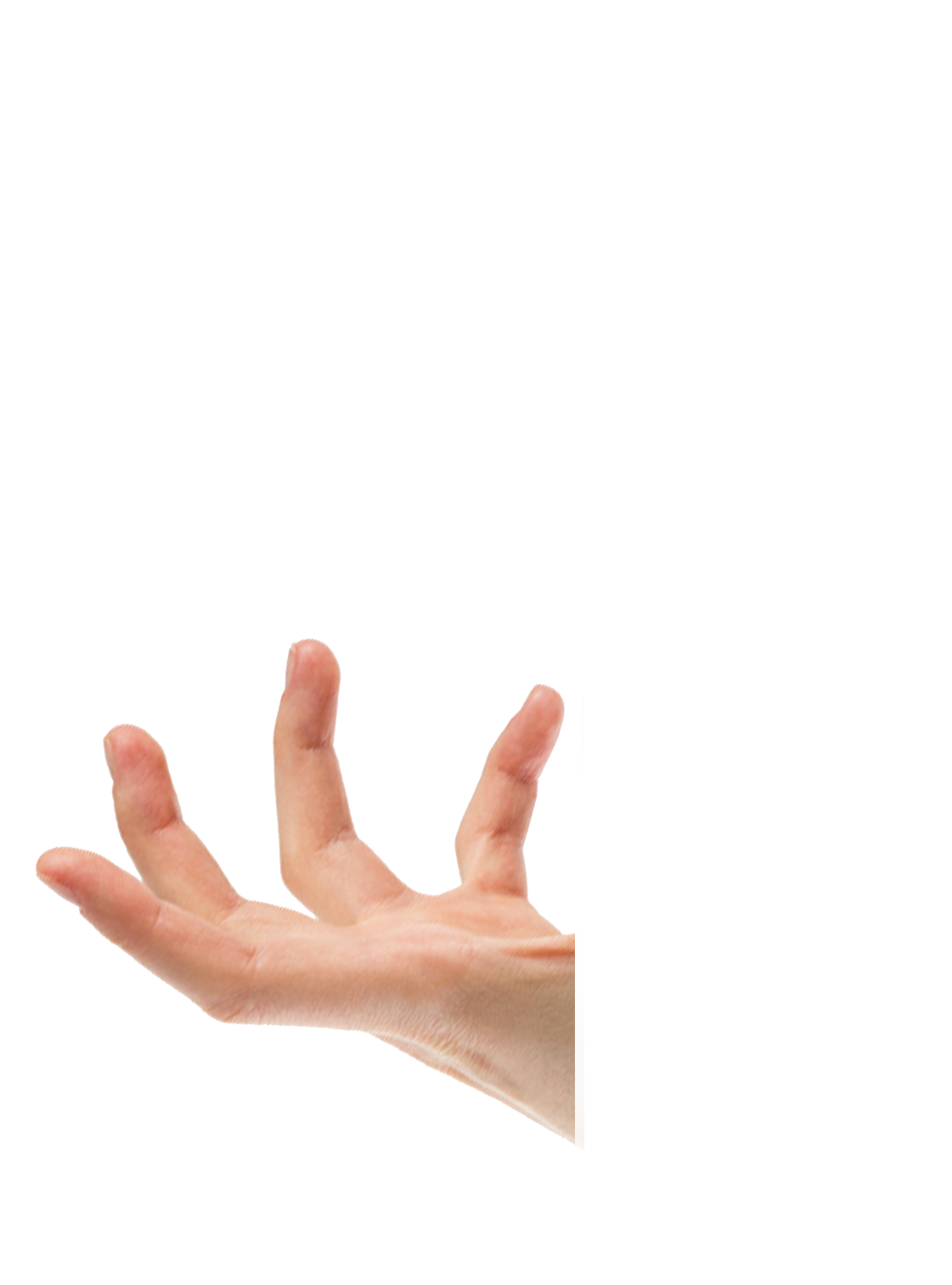 Hand back