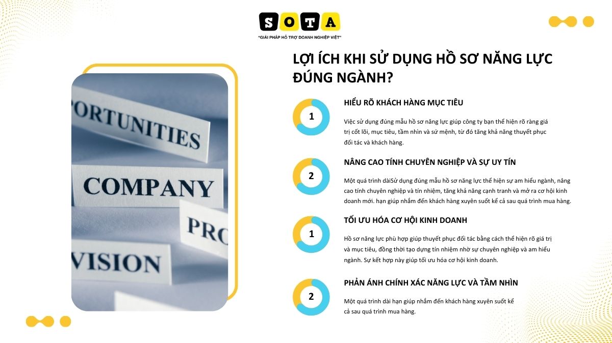 Mẫu hồ sơ năng lực đẹp 2025